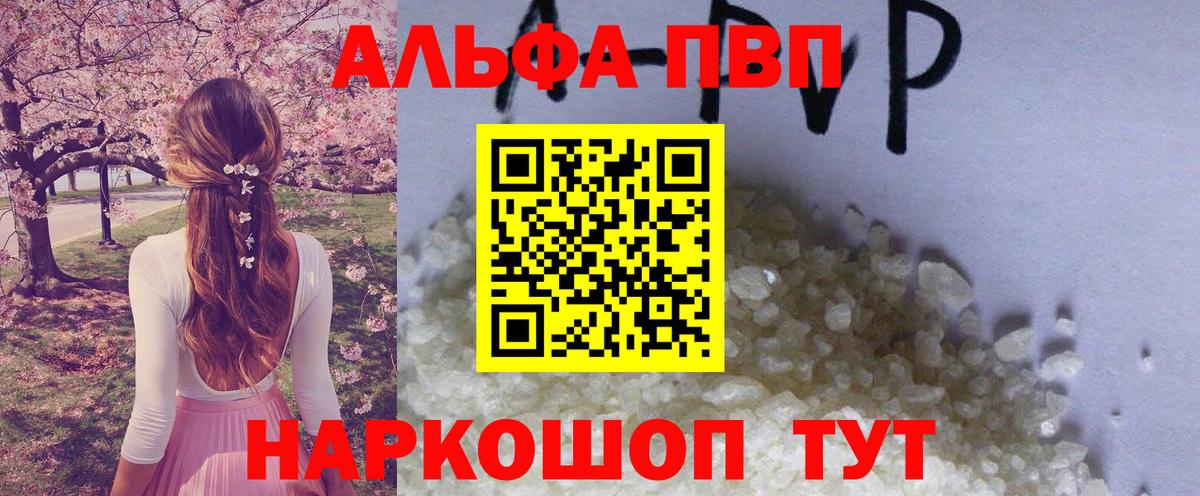 A PVP VHQ Кузнецк