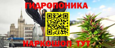 круглые Кингисепп