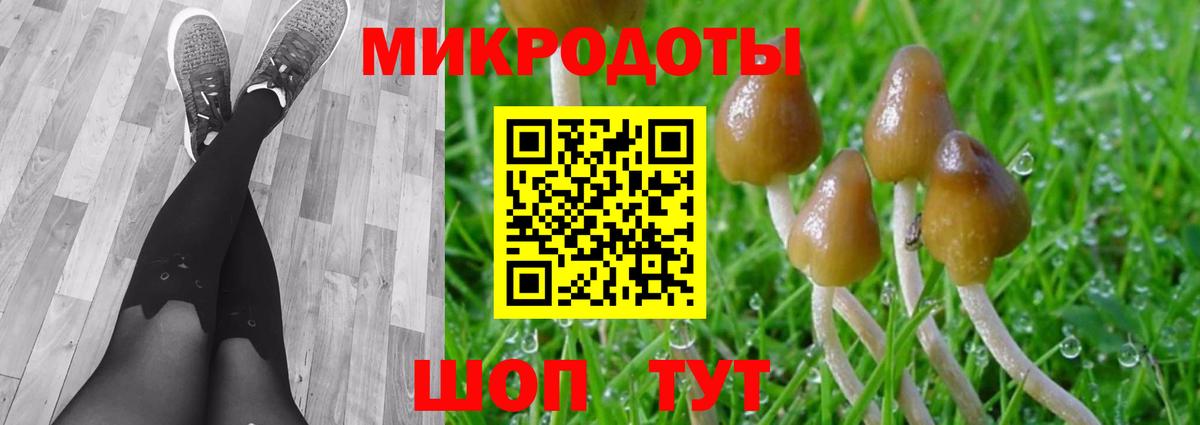 Псилоцибиновые грибы прущие грибы  Вход с VPN  Псилоцибиновые грибы GOLDEN TEACHER  Кузнецк 